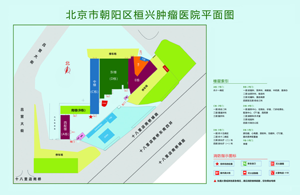 男女插逼逼逼视频北京市朝阳区桓兴肿瘤医院平面图